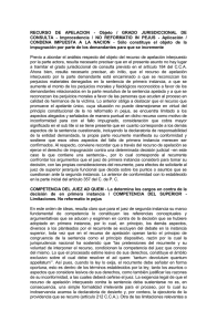 RECURSO DE APELACIÓN - Objeto / GRADO JURISDICCIONAL