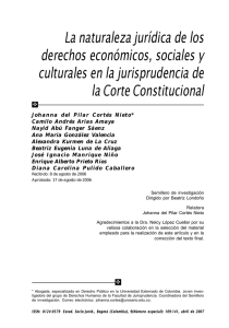 La naturaleza jurídica de los derechos económicos, sociales y