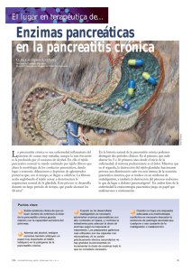 Enzimas pancreáticas en la pancreatitis crónica