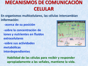 MECANISMOS DE COMUNICACIÓN CELULAR