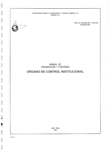 Organo de Control Institucional