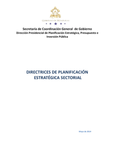 directrices de planificación estratégica sectorial