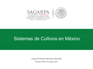 Sistemas de Cultivos en México