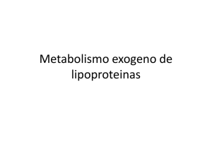 Metabolismo exogeno de lipoproteinas