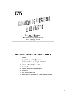 Prof. Luis A. Brumovsky MÉTODOS DE CONSERVACIÓN DE LOS