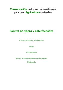 Control de plagas y enfermedades