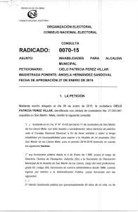 Radicado 0070 de 2015 - Consejo Nacional Electoral