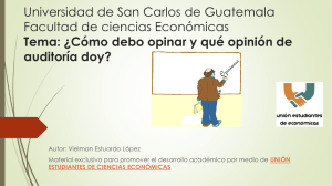 Opiniones de Auditoria