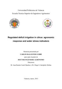 Regulated deficit irrigation in citrus