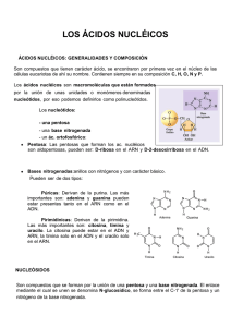 los ácidos nucléicos - IES Carmen Martín Gaite