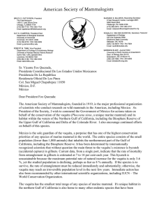 Position letter related to the status of the vaquita in Mexico.