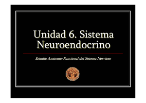 Unidad 6. Sistema neuroendocrino