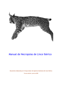 Manual de Necropsias de Lince Ibérico
