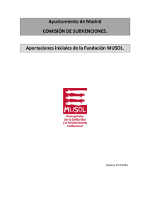 Aportaciones iniciales Fundación MUSOL Subvenciones PDF, 146
