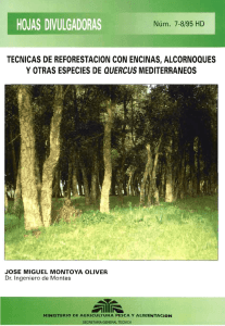 tecnicas de reforestacion con encinas, alcornoques y otras especies