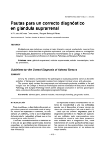 Pautas para un correcto diagnóstico en glándula suprarrenal