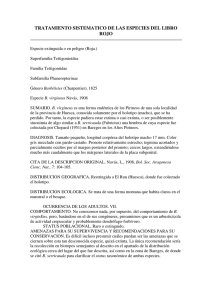 Especies del Libro Rojo de los Ortópteros Españoles I