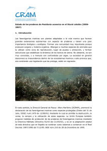 Estado de las praderas de Posidonia oceanica en el litoral catalán
