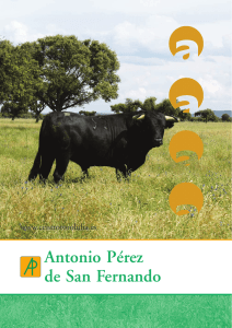 Antonio Pérez de San Fernando - Centro Etnográfico del Toro de Lidia