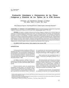 Evaluación Histológica e Histoquímica de las Fibras Colágenas y