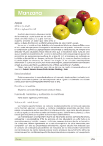 Manzana - FEN. Fundación Española de la Nutrición