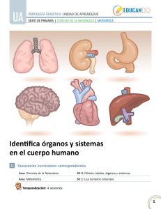 Identifica órganos y sistemas en el cuerpo humano