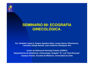 seminario 89: ecografía ginecológica.
