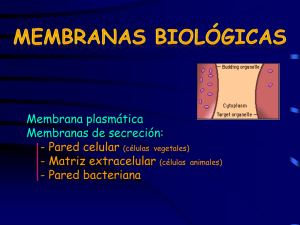 Biomembranas - ies "poeta claudio rodríguez"