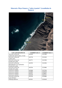 Riscos de Famara: "Salta si puedes"