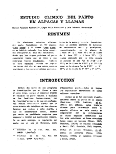 l ESTUDIO _CLINICO`- _DEL PARTO EN ALPACAS Y LLAMAS