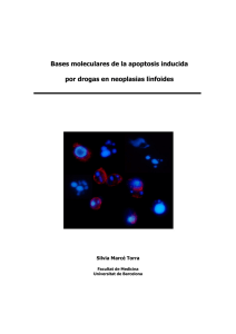 Bases moleculares de la apoptosis inducida por drogas en