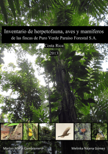 Inventario de herpetofauna, aves y mamíferos