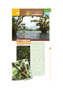 La región amazónica se caracteriza por grandes extensiones de