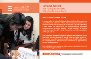 contador auditor - Instituto Profesional Los Lagos