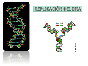 DNA - Traduccion