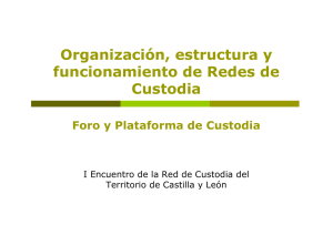 Organización, estructura y funcionamiento de Redes de Custodia