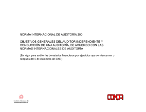 Norma Internacional de Auditoría 200