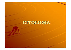 Celula Procariota - Facultad de Ciencias Naturales
