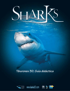 www.sharks3D.com Tiburones 3D, Guía didáctica
