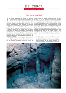 Cuevas Submarinas