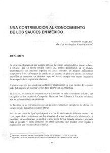 UNA CONTRIBUCIÓN A,L CONOC|MIENTO DE LOS SAUCES EN