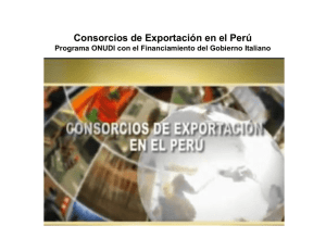 Consorcios de Exportación en el Perú