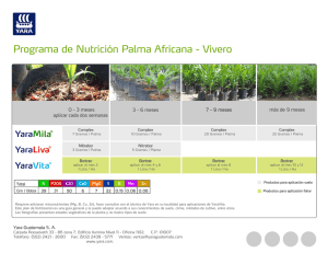 Programa de Nutrición para Palma Africana-Vivero