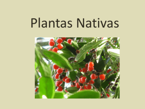 Plantas Nativas - Eco Industria 2.0