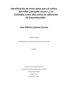 Jatropha curcas L. - Pontificia Universidad Javeriana