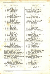 257 CHENOPODIUM CHIRONIA 258 — — — ST. Bot. 459.