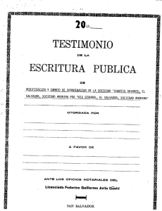 Testimonio Escritura - Cambio Denominación AIG Seguros 2013