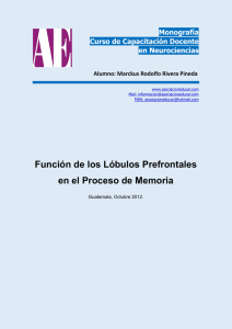 Función de los Lóbulos Prefrontales en el Proceso de Memoria