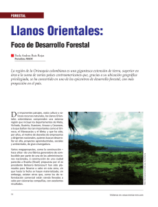 Llanos Orientales: