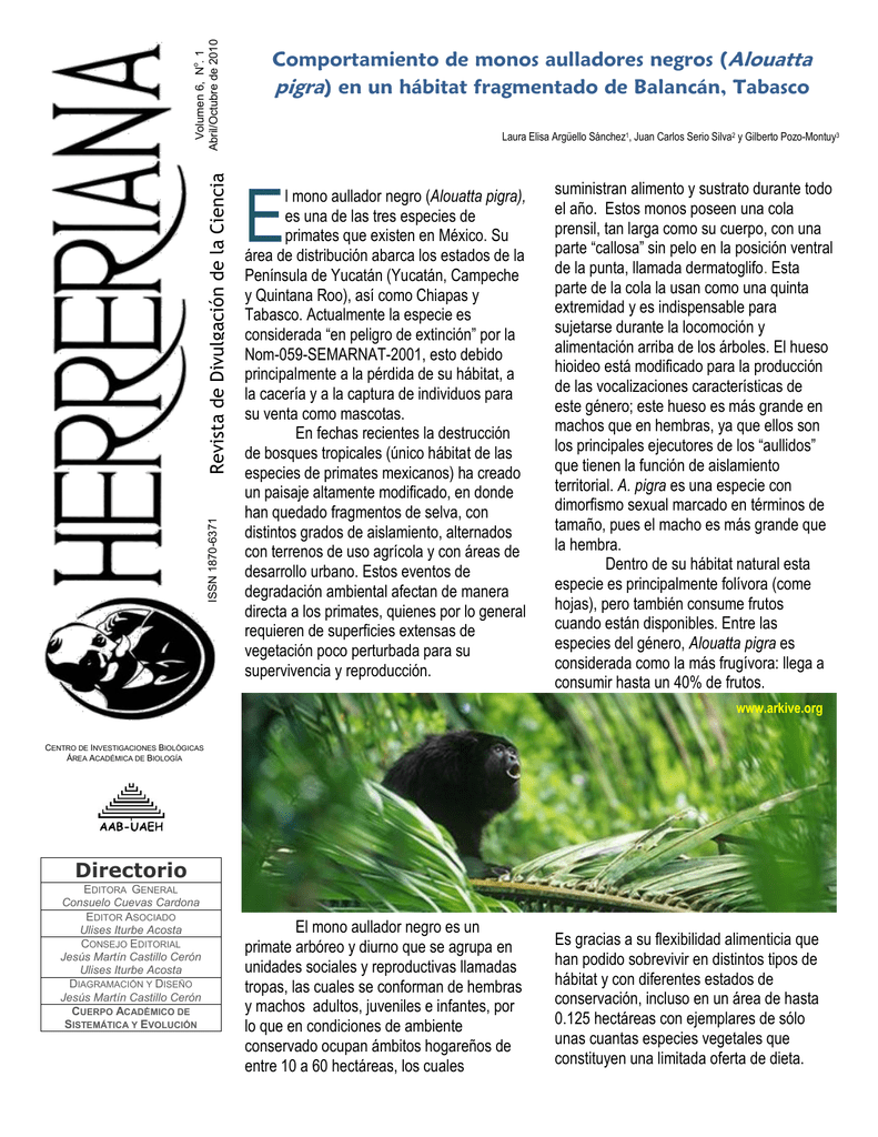 dieta de ciencia ligeras mordeduras